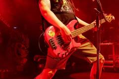 DSC02781-Enhanced-NR