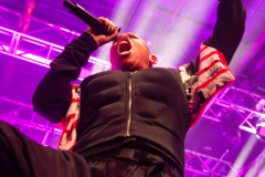 07_04_25-Skunk-Anansie-LCR-Norwich-15