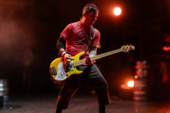 DSC03350-Enhanced-NR