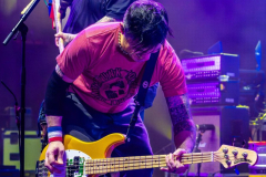 DSC03635-Enhanced-NR