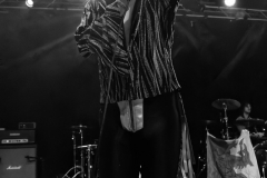 20240929-DSC00719-ARW-Copy