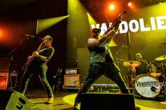 DSC02565-Enhanced-NR