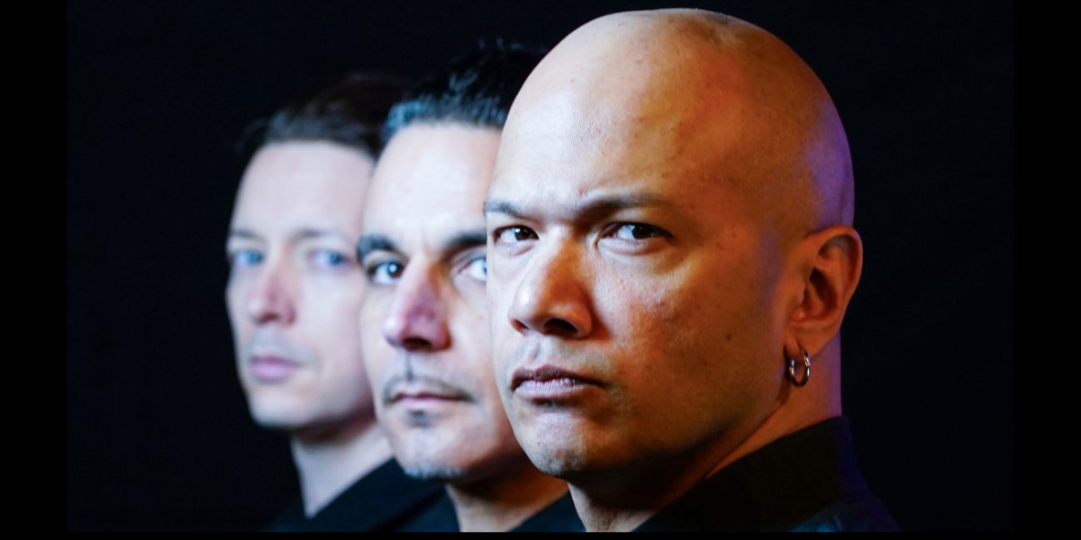 Danko Jones Diamond In The Rough