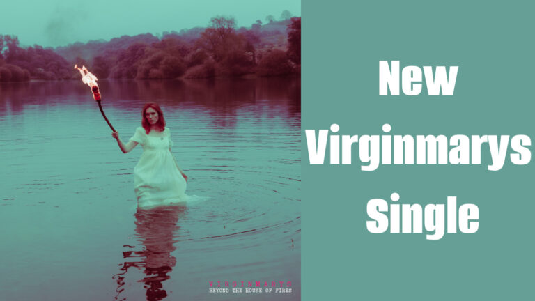 New Virginmarys Single