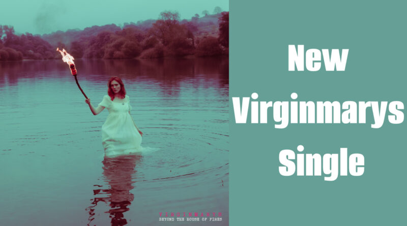 New Virginmarys Single