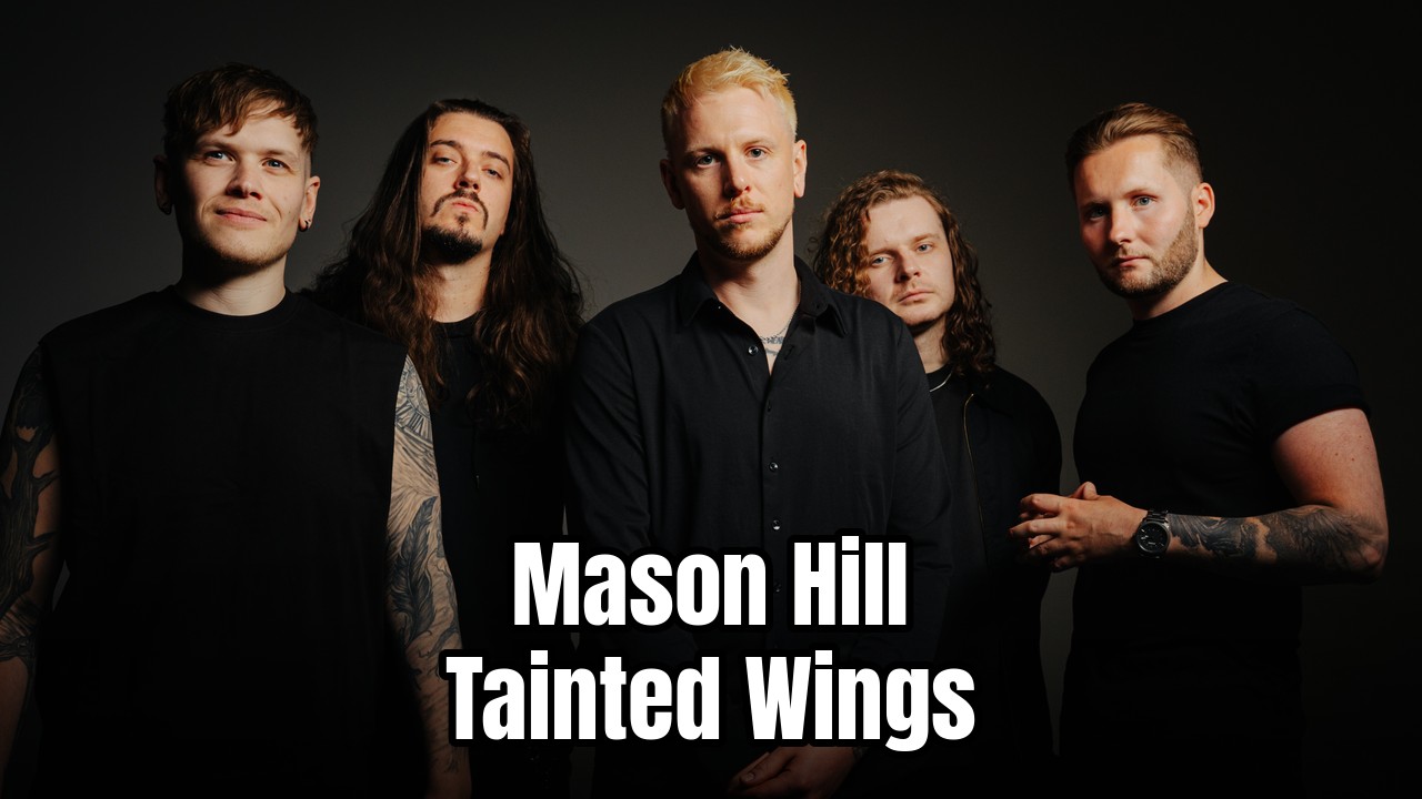 Mason Hill Tainted Wings